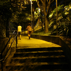 Foto de perfil de Daniele