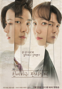 Your Honor (Chinaehaneun Pansanimgge)