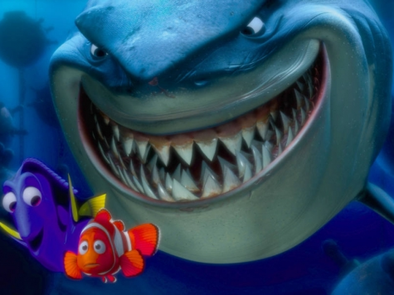 Foto 4 de Procurando Nemo