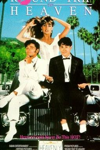 Poster de Filme A Garota dos Meus Sonhos (1992)