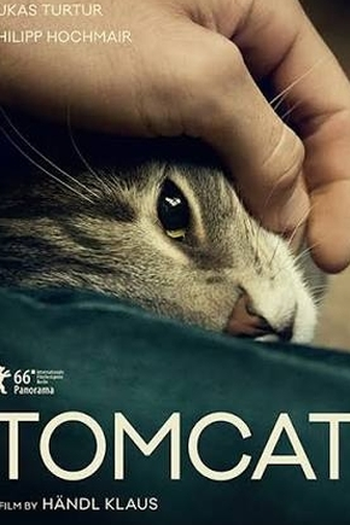  de Filme Tomcat (2016)