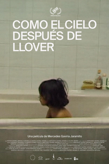  de Filme A Calma Depois da Tempestade (2020)