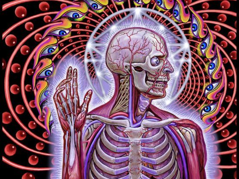 Foto 4 de Tool: Parabola