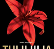 Tulililia