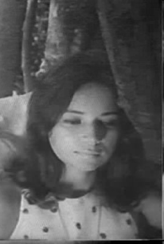 Poster 1 de Filme Marajó - Barreira do mar (1967)