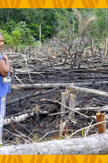 Kupixá Asui Peé Itá - A Roça e Seus Caminhos (Kupixá Asui Peé Itá - A Roça e Seus Caminhos)