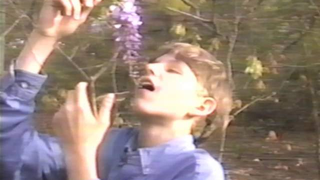 Trailer: 039 The Herbivore WEB 8000
