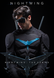 Asa Noturna: A Série (Nightwing: The Series)