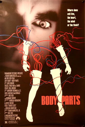  de Filme Anatomia de Um Assassino (1991)