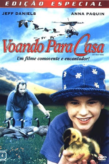  de Filme Voando para Casa (1996)