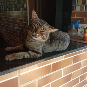 Foto de perfil de Edward Manoel