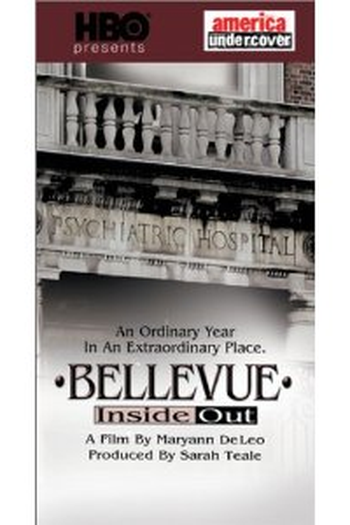 Poster de Filme Bellevue Inside Out (2001)