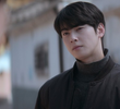 모든 길은 채니로 통한다