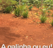 A Galinha ou Eu!