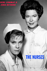 The Doctors and the Nurses (The Doctors and the Nurses)