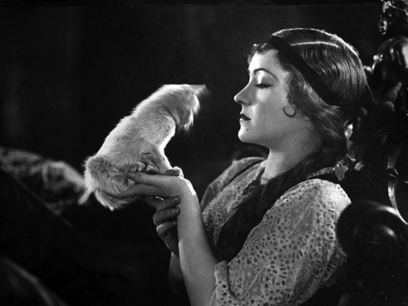 Foto 2 de Salários da Virtude 