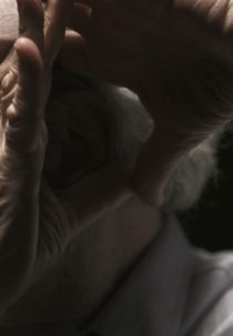 O Ouvido de Vinícius (O Ouvido de Vinícius)