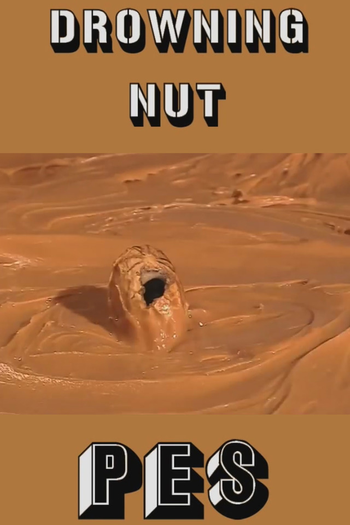 Poster de Curta Drowning Nut (2009)