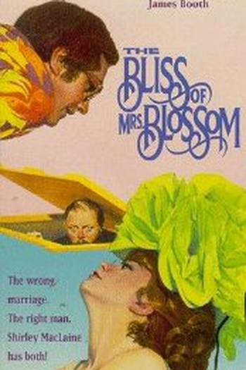 Poster de Filme Um Marido de Reserva (1968)