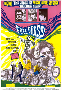 O Mundo Selvagem dos Hippies (Scream Free!)