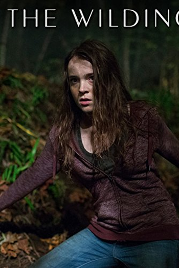 Poster de Filme Chamados do Além (2016)