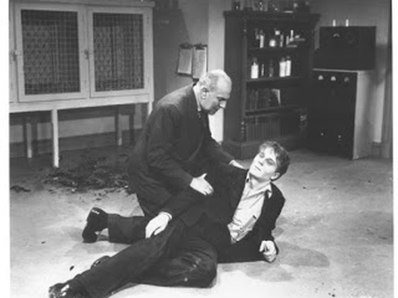 Foto 14 de O Abutre Humano