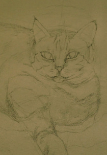 Ich liebe dich. (Ich liebe dich.)