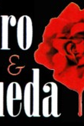 Poster de TV Tiro e Queda (1999)