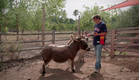 Où en êtes-vous, Richard Linklater ? | Cinéma | Centre Pompidou