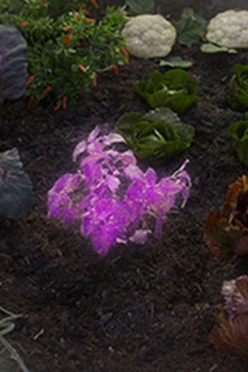 Poster de Episódio Just Add Plants (2019)
