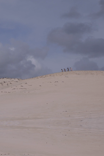 Poster de Curta A piscina (2018)