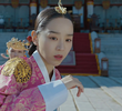 내일은 없다