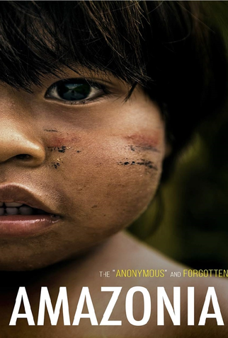 Poster 1 de Filme Amazônia Inc. (2019)