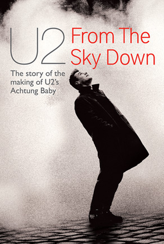 Poster 1 de Filme From the sky down (2011)