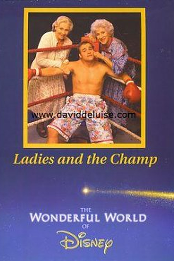Poster de TV As Damas e o Campeão (2001)