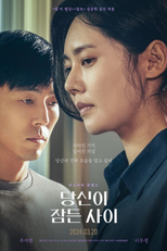 While You Were Sleeping (당신이 잠든 사이)