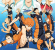 Haikyuu!! (1ª Temporada)