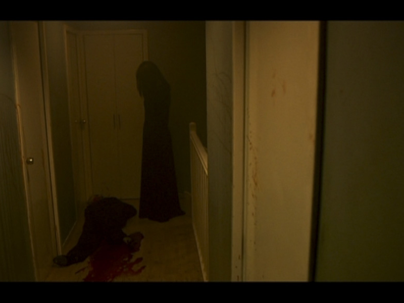 Foto 2 de A Invasora