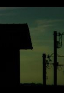 Nas Minhas Mãos Não Quero Pregos (Nas Minhas Mãos Não Quero Pregos)