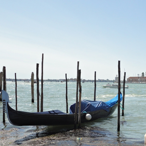 Foto de perfil de Marcelo Lopes Moreira