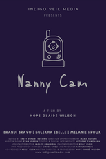 Nanny Cam (Nanny Cam)