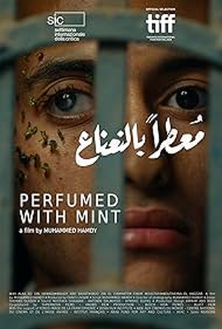 Poster 1 de Filme Sabor Menta (2024)