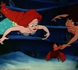 Ariel's Treasures