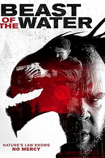  de Filme A Criatura da Água (2017)