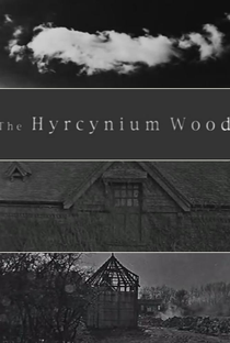 The Hyrcynium Wood - Poster / Capa / Cartaz - Oficial 1