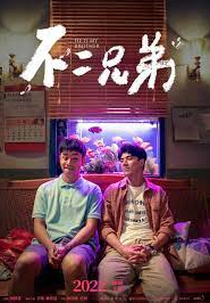 Irmãos (Bu er xiong di)