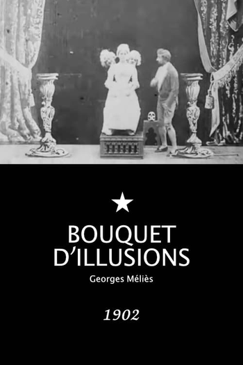 Poster de Filme Bouquet d'illusions (1902)