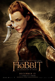 O Hobbit: A Desolação de Smaug - Poster / Capa / Cartaz - Oficial 7