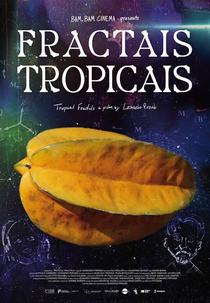 Fractais Tropicais (Fractais Tropicais)