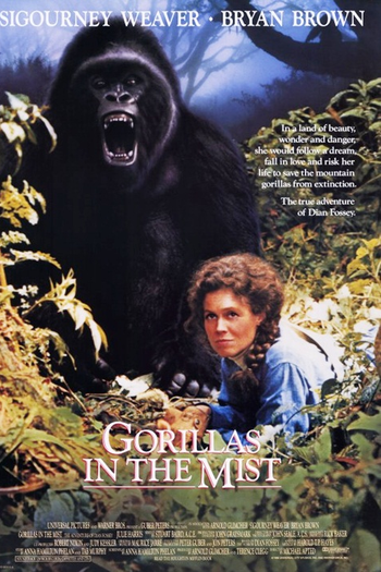  de Filme Nas Montanhas dos Gorilas (1988)